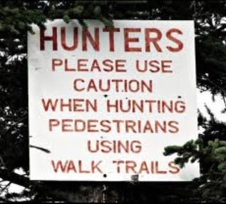 Hunting pedestrians