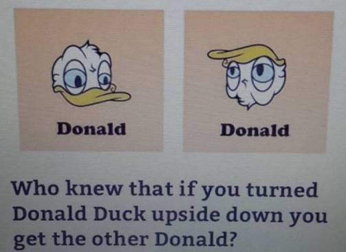 Upside down Donald