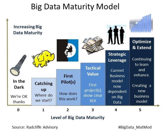 Big Data Maturity